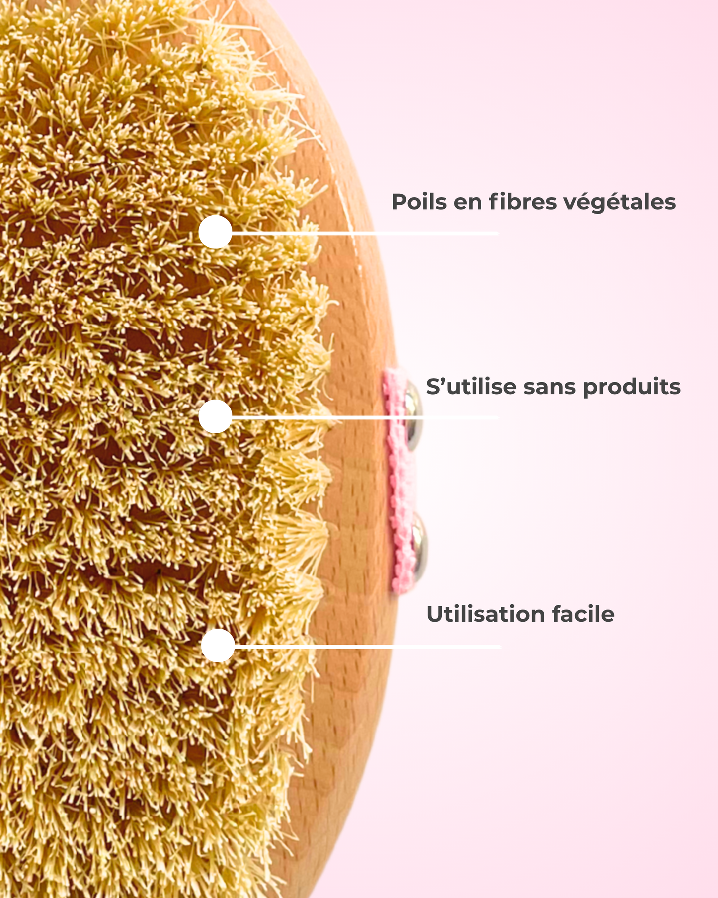 Brosse sèche