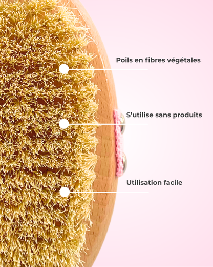 Brosse sèche