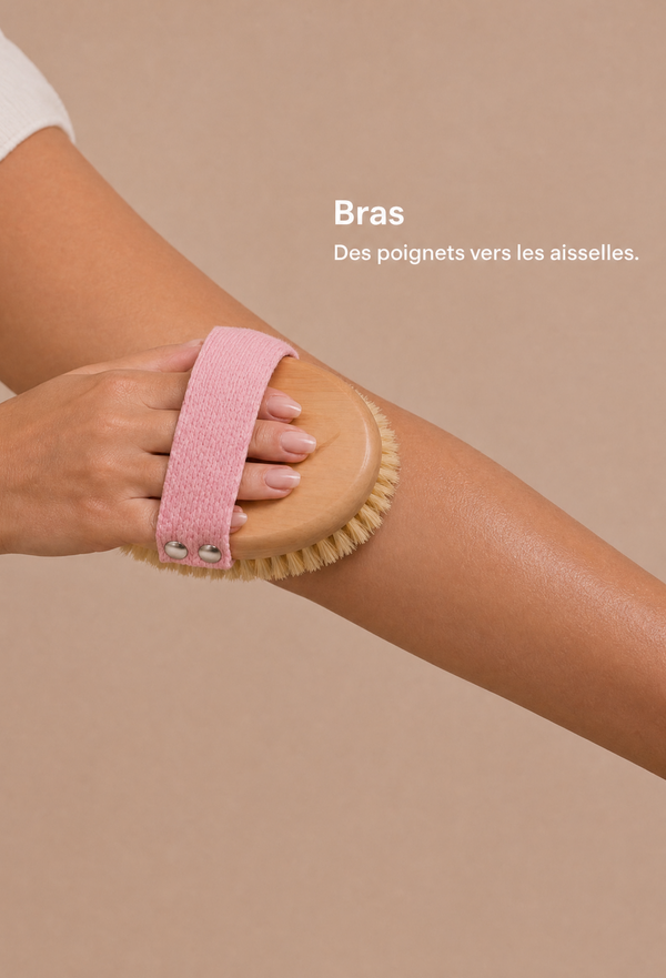 Les bras